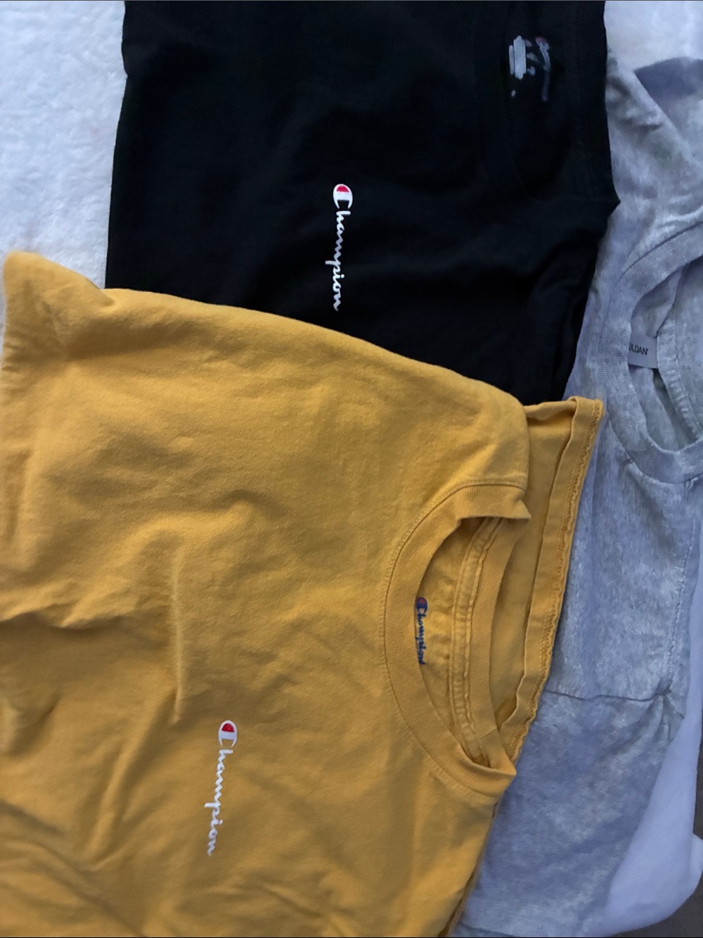 Champion youth T-Shirts - Mustard Yellow, Black, Gray shirt is Gilda’s new worn.